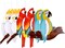 6 Pieces Tropical Birds Honeycomb Parrot Hawaiian Summer Beach Tiki Bar Luau Party Home Classroom Hanging Decorations(Parrot)